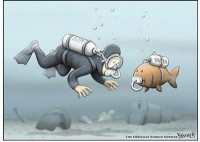 /album/galeria-de-fotos/poluicao-jpg/