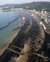 /album/galeria-de-fotos/poluicao-oleo-4-1-jpg/